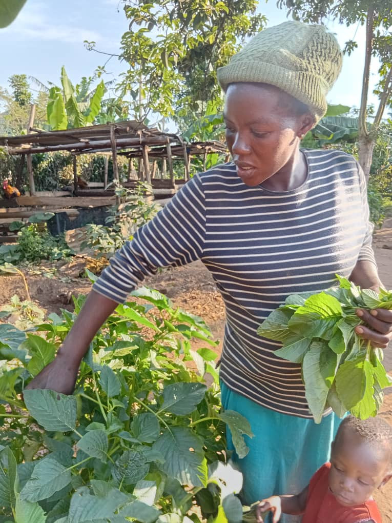 Agriculture & Food Security